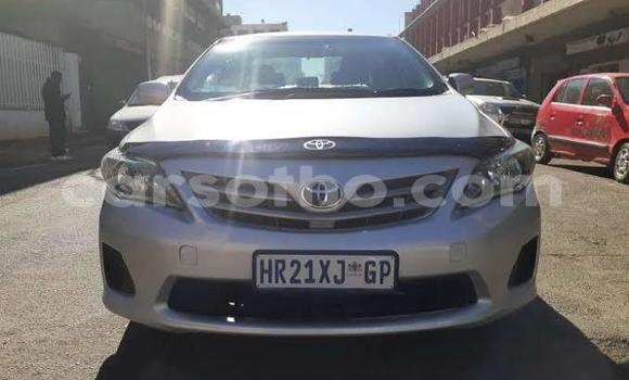 Acheter Occasion Voiture Toyota Corolla Gris à Maputsoe, Leribe Acheter Occasion Voiture Toyota Corolla Gris à Maputsoe, Leribe