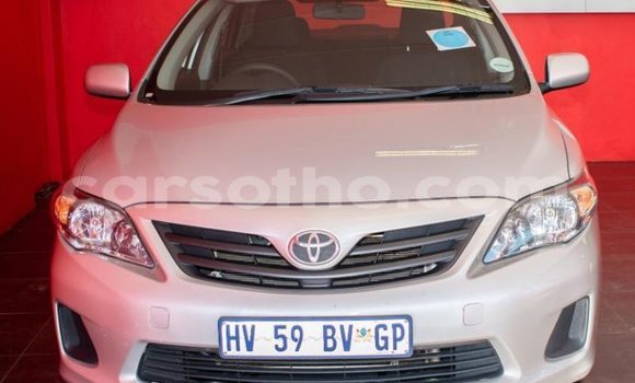 Acheter Occasion Voiture Toyota Corolla Gris à Maseru, Maseru Acheter Occasion Voiture Toyota Corolla Gris à Maseru, Maseru