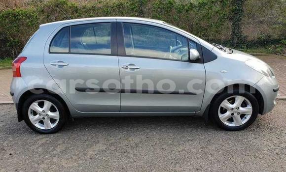 Acheter Occasion Voiture Toyota Yaris Gris à Mokhotlong, Berea Acheter Occasion Voiture Toyota Yaris Gris à Mokhotlong, Berea