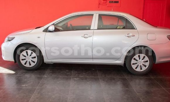 Acheter Occasion Voiture Toyota Corolla Gris à Maseru, Maseru Acheter Occasion Voiture Toyota Corolla Gris à Maseru, Maseru