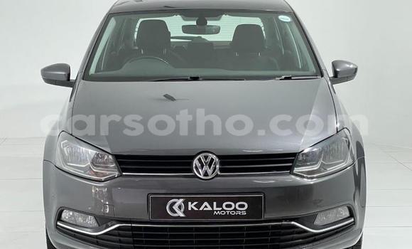 اشتري مستعمل Volkswagen Polo Silver سيارة في Butha–Buthe في Thaba-Tseka اشتري مستعمل Volkswagen Polo Silver سيارة في Butha–Buthe في Thaba-Tseka