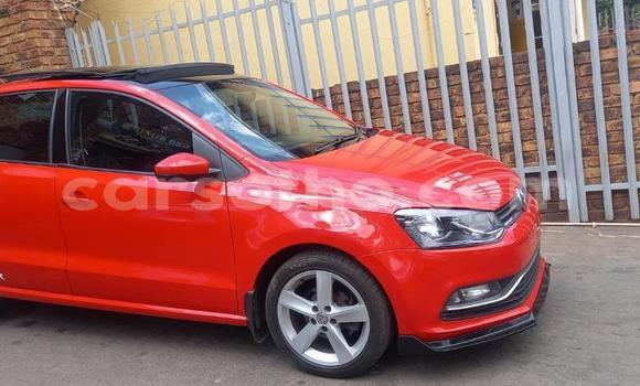 اشتري مستعمل Volkswagen Polo GTI Red سيارة في Butha–Buthe في Thaba-Tseka اشتري مستعمل Volkswagen Polo GTI Red سيارة في Butha–Buthe في Thaba-Tseka