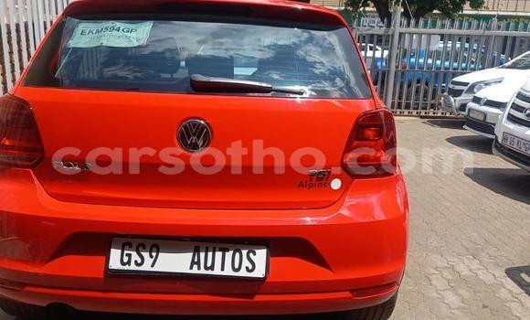 اشتري مستعمل Volkswagen Polo GTI Red سيارة في Butha–Buthe في Thaba-Tseka اشتري مستعمل Volkswagen Polo GTI Red سيارة في Butha–Buthe في Thaba-Tseka