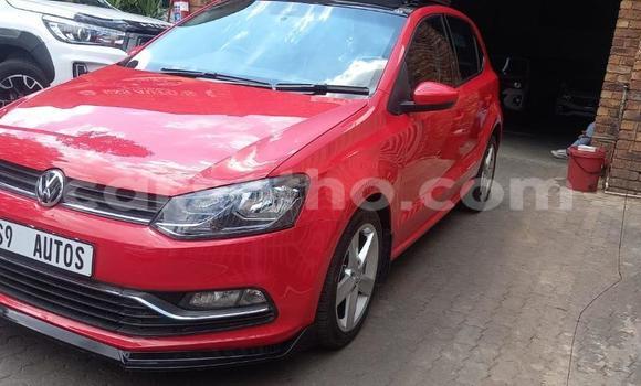 اشتري مستعمل Volkswagen Polo GTI Red سيارة في Butha–Buthe في Thaba-Tseka اشتري مستعمل Volkswagen Polo GTI Red سيارة في Butha–Buthe في Thaba-Tseka