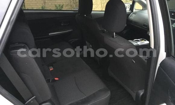 Buy Used Toyota Prius Silver Car in Peka in Leribe Buy Used Toyota Prius Silver Car in Peka in Leribe