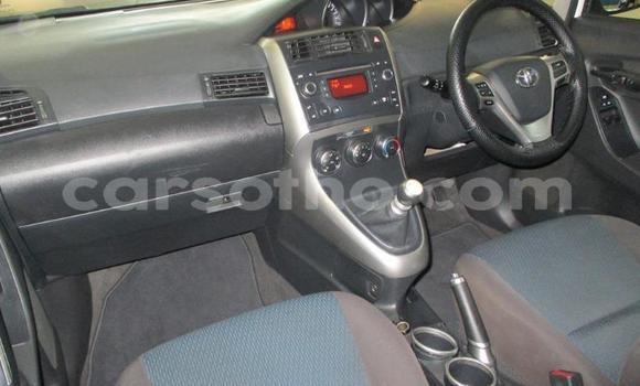 Buy Used Toyota Verso White Car in Maseru in Maseru Buy Used Toyota Verso White Car in Maseru in Maseru