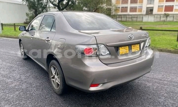 Acheter Occasion Voiture Toyota Corolla Gris à Maseru, Maseru Acheter Occasion Voiture Toyota Corolla Gris à Maseru, Maseru
