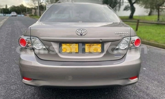 Acheter Occasion Voiture Toyota Corolla Gris à Maseru, Maseru Acheter Occasion Voiture Toyota Corolla Gris à Maseru, Maseru