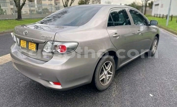 Acheter Occasion Voiture Toyota Corolla Gris à Maseru, Maseru Acheter Occasion Voiture Toyota Corolla Gris à Maseru, Maseru