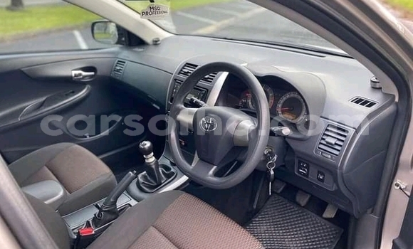Acheter Occasion Voiture Toyota Corolla Gris à Maseru, Maseru Acheter Occasion Voiture Toyota Corolla Gris à Maseru, Maseru
