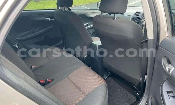 Acheter Occasion Voiture Toyota Corolla Gris à Maseru, Maseru Acheter Occasion Voiture Toyota Corolla Gris à Maseru, Maseru