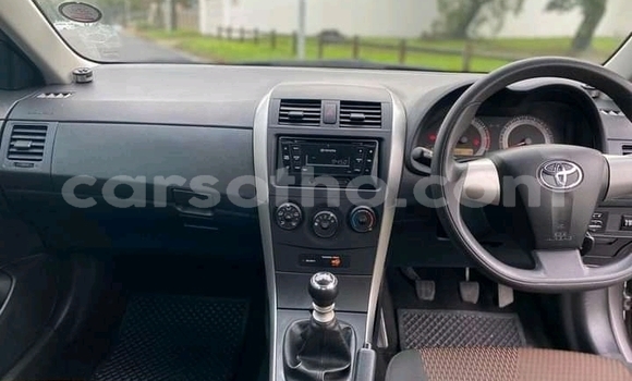 Acheter Occasion Voiture Toyota Corolla Gris à Maseru, Maseru Acheter Occasion Voiture Toyota Corolla Gris à Maseru, Maseru
