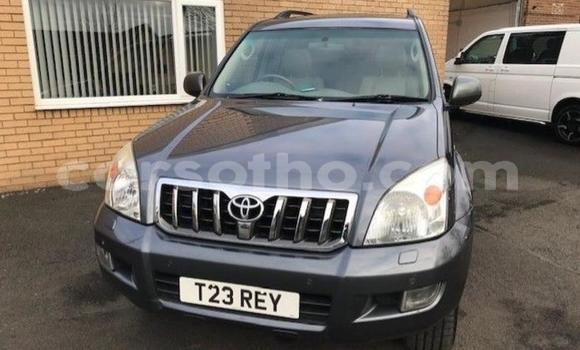 Acheter Occasion Voiture Toyota Land Cruiser Gris à Thaba–Tseka, Mafeteng Acheter Occasion Voiture Toyota Land Cruiser Gris à Thaba–Tseka, Mafeteng