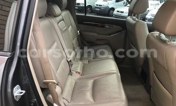 Acheter Occasion Voiture Toyota Land Cruiser Gris à Thaba–Tseka, Mafeteng Acheter Occasion Voiture Toyota Land Cruiser Gris à Thaba–Tseka, Mafeteng