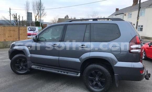 Acheter Occasion Voiture Toyota Land Cruiser Gris à Thaba–Tseka, Mafeteng Acheter Occasion Voiture Toyota Land Cruiser Gris à Thaba–Tseka, Mafeteng