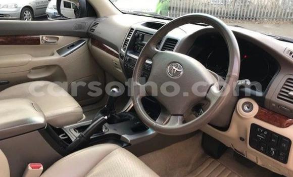 Acheter Occasion Voiture Toyota Land Cruiser Gris à Thaba–Tseka, Mafeteng Acheter Occasion Voiture Toyota Land Cruiser Gris à Thaba–Tseka, Mafeteng