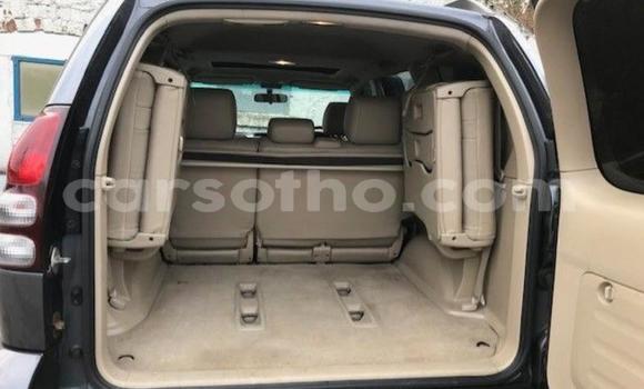 Acheter Occasion Voiture Toyota Land Cruiser Gris à Thaba–Tseka, Mafeteng Acheter Occasion Voiture Toyota Land Cruiser Gris à Thaba–Tseka, Mafeteng