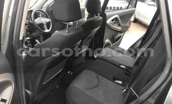 Sayi Na hannu Toyota RAV4 Other Mota in Teyateyaneng a Berea Sayi Na hannu Toyota RAV4 Other Mota in Teyateyaneng a Berea