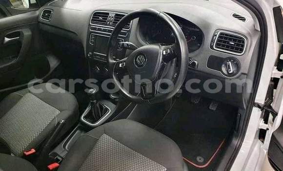 Buy Used Volkswagen Polo GTI White Car in Import - Dubai in Maseru Buy Used Volkswagen Polo GTI White Car in Import - Dubai in Maseru