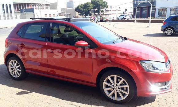 اشتري مستعمل Volkswagen Polo Other سيارة في Butha–Buthe في Thaba-Tseka اشتري مستعمل Volkswagen Polo Other سيارة في Butha–Buthe في Thaba-Tseka