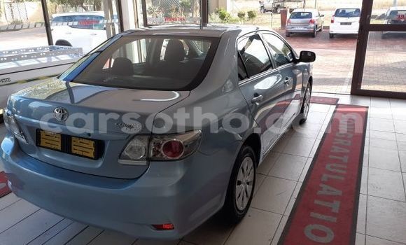 Acheter Occasion Voiture Toyota Corolla Bleu à Maseru, Maseru Acheter Occasion Voiture Toyota Corolla Bleu à Maseru, Maseru