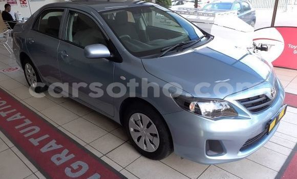 Acheter Occasion Voiture Toyota Corolla Bleu à Maseru, Maseru Acheter Occasion Voiture Toyota Corolla Bleu à Maseru, Maseru