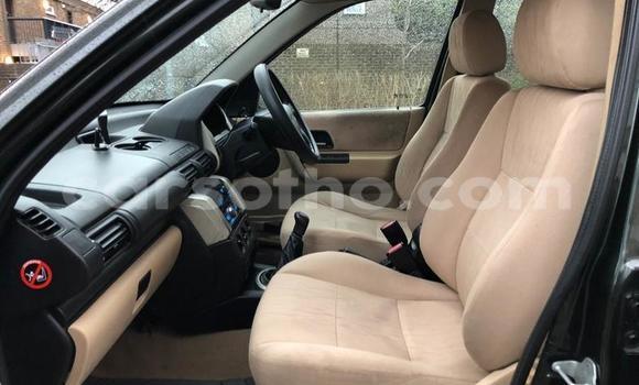 Sayi Na hannu Land Rover Freelander Green Mota in Hlotse a Leribe Sayi Na hannu Land Rover Freelander Green Mota in Hlotse a Leribe