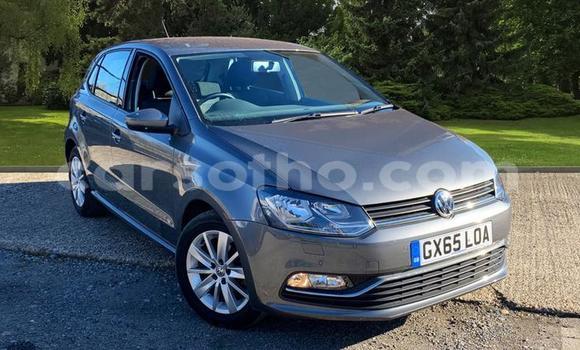 Buy Used Volkswagen Polo Silver Car in Maputsoa in Leribe Buy Used Volkswagen Polo Silver Car in Maputsoa in Leribe