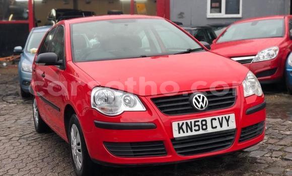 Buy Used Volkswagen Polo Red Car in Hlotse in Leribe Buy Used Volkswagen Polo Red Car in Hlotse in Leribe