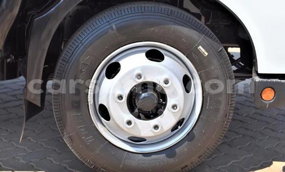 Acheter Occasion Utilitaire Hino 300 Series Blanc à Butha Buthe, Butha-Buthe Acheter Occasion Utilitaire Hino 300 Series Blanc à Butha Buthe, Butha-Buthe