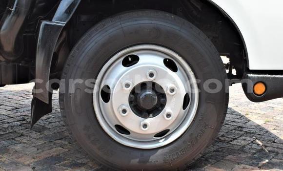 اشتري مستعمل Hino 300 Series White شاحنة في Butha–Buthe في Thaba-Tseka اشتري مستعمل Hino 300 Series White شاحنة في Butha–Buthe في Thaba-Tseka