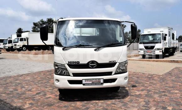 اشتري مستعمل Hino 300 Series White شاحنة في Butha–Buthe في Thaba-Tseka اشتري مستعمل Hino 300 Series White شاحنة في Butha–Buthe في Thaba-Tseka