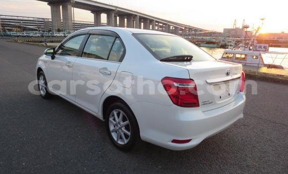 اشتري Imported Toyota Axio White سيارة في Maseru في Maseru اشتري Imported Toyota Axio White سيارة في Maseru في Maseru