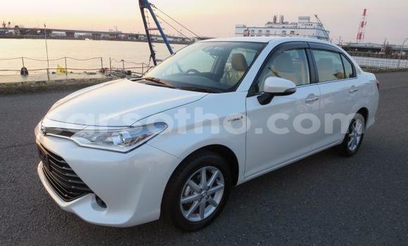 اشتري Imported Toyota Axio White سيارة في Maseru في Maseru اشتري Imported Toyota Axio White سيارة في Maseru في Maseru