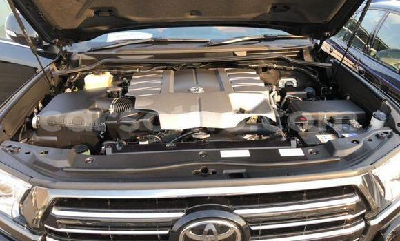 اشتري Imported Toyota Land Cruiser Black سيارة في Butha–Buthe في Thaba-Tseka اشتري Imported Toyota Land Cruiser Black سيارة في Butha–Buthe في Thaba-Tseka