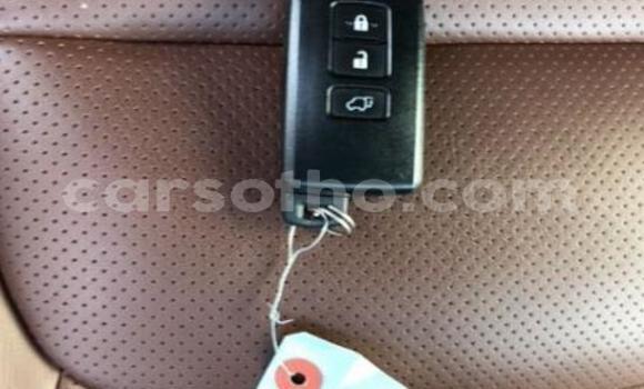اشتري Imported Toyota Land Cruiser Black سيارة في Butha–Buthe في Thaba-Tseka اشتري Imported Toyota Land Cruiser Black سيارة في Butha–Buthe في Thaba-Tseka