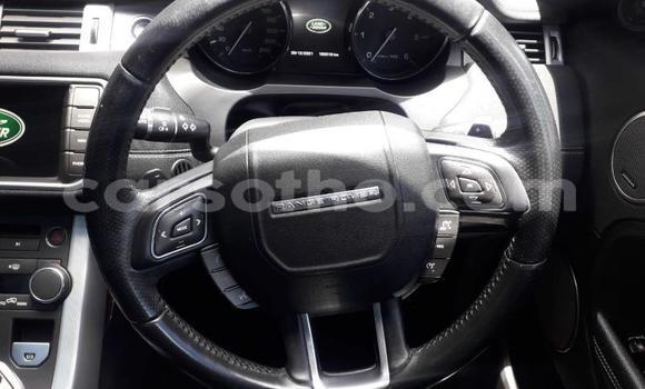 Buy Used Land Rover Range Rover Evoque Silver Car in Maseru in Maseru Buy Used Land Rover Range Rover Evoque Silver Car in Maseru in Maseru