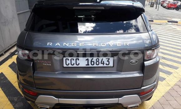 Buy Used Land Rover Range Rover Evoque Silver Car in Maseru in Maseru Buy Used Land Rover Range Rover Evoque Silver Car in Maseru in Maseru