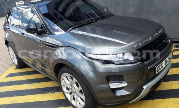 Buy Used Land Rover Range Rover Evoque Silver Car in Maseru in Maseru Buy Used Land Rover Range Rover Evoque Silver Car in Maseru in Maseru