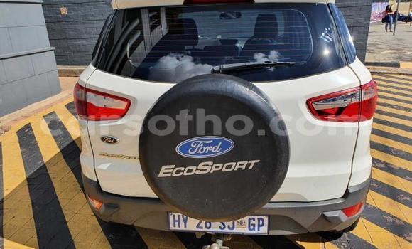 Buy Used Ford EcoSport White Car in Maseru in Maseru Buy Used Ford EcoSport White Car in Maseru in Maseru