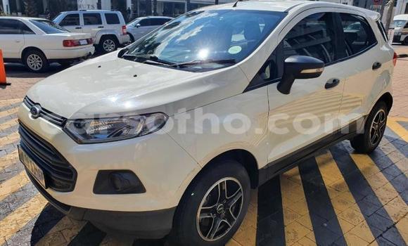 Buy Used Ford EcoSport White Car in Maseru in Maseru Buy Used Ford EcoSport White Car in Maseru in Maseru