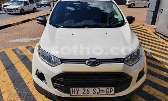 Buy Used Ford EcoSport White Car in Maseru in Maseru Buy Used Ford EcoSport White Car in Maseru in Maseru