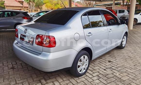 Buy Used Volkswagen Polo Silver Car in Maseru in Maseru Buy Used Volkswagen Polo Silver Car in Maseru in Maseru