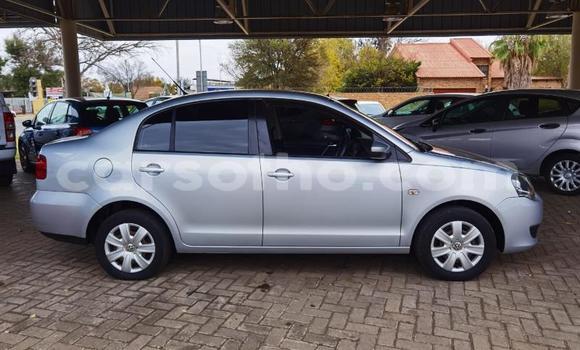 Buy Used Volkswagen Polo Silver Car in Maseru in Maseru Buy Used Volkswagen Polo Silver Car in Maseru in Maseru