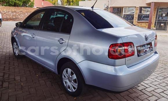 Buy Used Volkswagen Polo Silver Car in Maseru in Maseru Buy Used Volkswagen Polo Silver Car in Maseru in Maseru