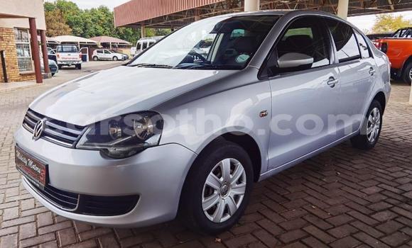 Buy Used Volkswagen Polo Silver Car in Maseru in Maseru Buy Used Volkswagen Polo Silver Car in Maseru in Maseru