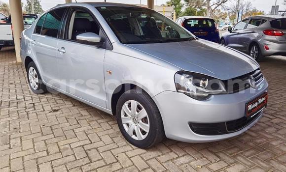 Buy Used Volkswagen Polo Silver Car in Maseru in Maseru Buy Used Volkswagen Polo Silver Car in Maseru in Maseru