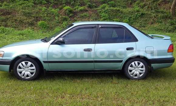 Acheter Occasion Voiture Toyota Caldina Vert à Maseru, Maseru Acheter Occasion Voiture Toyota Caldina Vert à Maseru, Maseru