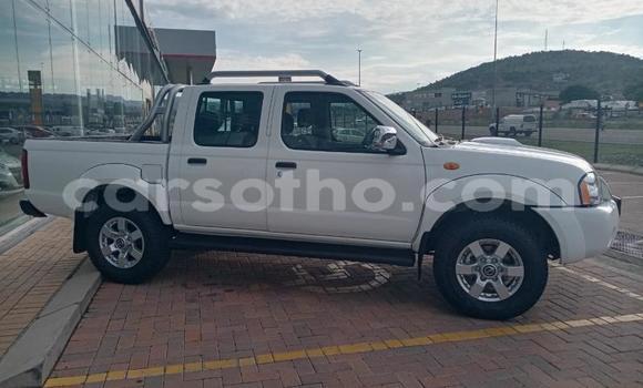 Buy Used Nissan NP 300 White Car in Maseru in Maseru Buy Used Nissan NP 300 White Car in Maseru in Maseru
