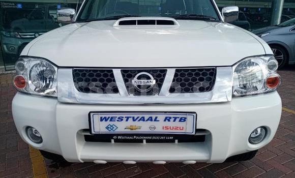 Buy Used Nissan NP 300 White Car in Maseru in Maseru Buy Used Nissan NP 300 White Car in Maseru in Maseru